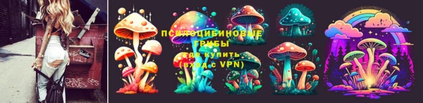 spice Медногорск